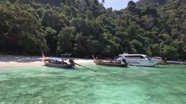 Kıyıya yakın tekneler ve tropikal ortamda turistler