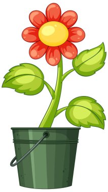 Metal bir tencerede yeşil yaprakları olan kırmızı bir çiçeğin renkli vektör çizimi. Basit, parlak ve neşeli tasarım.