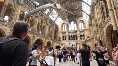 Kalabalık mavi balina iskeletine hayran.