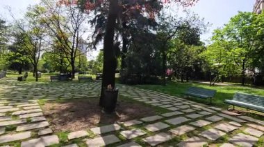 Huzurlu park sahnesi banklar ve yeşilliklerle