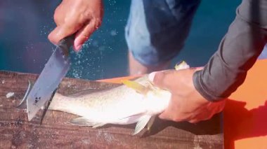 Tayland, Phuket 'te parlak güneş ışığı altında bir teknede bir balık fileto yapar.