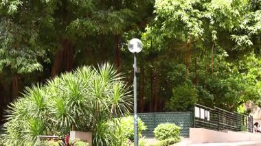 Yeşillik ve huzur dolu park yeri