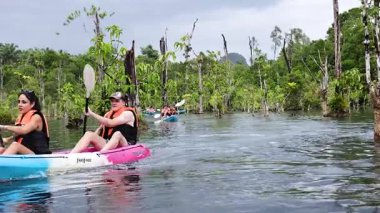 Kayakçılar yemyeşil sularla çevrili sakin sularda gezinirler.