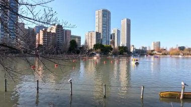 Kanocu şehir zeminiyle nehirde kürek çekiyor