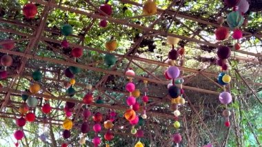 Canlı süsler rüzgarda hafifçe sallanıyor.