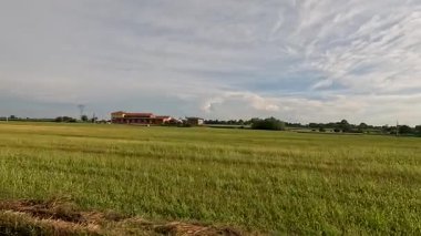 Bereketli tarlaları ve açık gökyüzünü geçmek