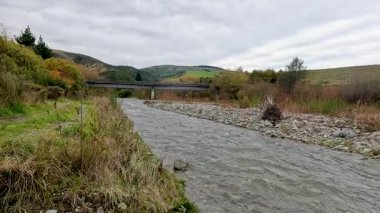 Yeni Zelanda 'nın Akaroa kentindeki yemyeşil ve kayalık kıyılardan yumuşak, bulutlu bir nehir akar.