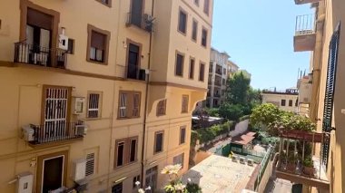 Güneşli bir balkonda renkli çiçekler