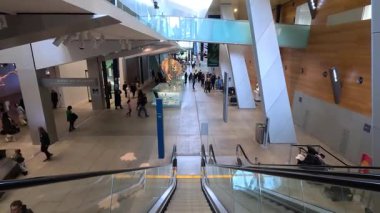 Dinozor iskeletinin yanındaki Melbourne Müzesi 'nde yürüyen ziyaretçiler