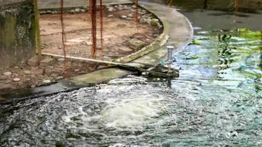 Dalgalar ve dalgalar küçük bir gölette