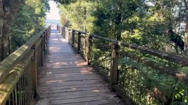 Yoğun yeşil ormanlarla çevrili ahşap bir köprüde sabit bir kamera ilerler. Ağaçların arasından süzülen parlak gün ışığı uzak dağ manzaralarını gözler önüne serer.