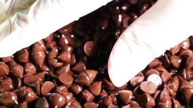 Gloved hands sorting chocolate chips carefully