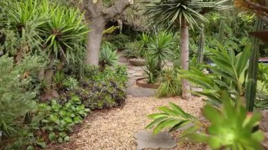 Berrak bir bahçede huzurlu bir yürüyüş.