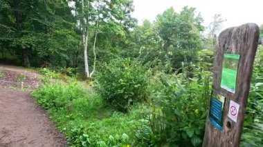 Doğadaki taş köprüye giden yol.