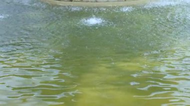 Karmaşık heykeller ve bereketli bir park ortamında akan suyla dekoratif bir çeşmenin ayrıntılı görüntüsü.