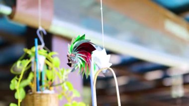 Phuket, Tayland 'da yemyeşil ve yumuşak aydınlatmalarla çevrili güneşli bir ortamda canlı bir fırıldak hızla dönüyor.