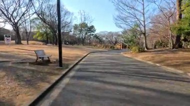 İnsanlar parkta barışçıl bir yürüyüşün tadını çıkarıyor.