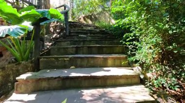 Canlı yeşilliklerle çevrili taş adımlar.