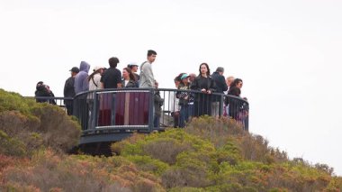 Bir grup turist, Avustralya 'daki Büyük Okyanus Yolu boyunca manzaranın tadını çıkararak gözcülük yapıyor.