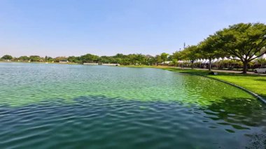 Bereketli yemyeşil göl manzarası