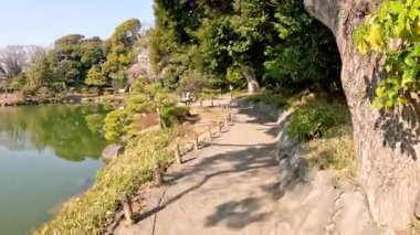 Gölün kenarındaki parkta huzurlu bir yürüyüş.