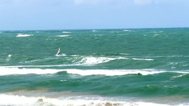 Bir rüzgar sörfçüsü Torquay Sahili, Victoria, Avustralya 'da parlak gün ışığı altında ustaca okyanus dalgaları arasında manevra yapar.