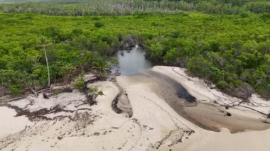 Port Douglas 'taki yoğun mangrovların ve kumlu plajların havadan görünüşü doğal güzelliği ve dingin çevreyi gözler önüne seriyor.