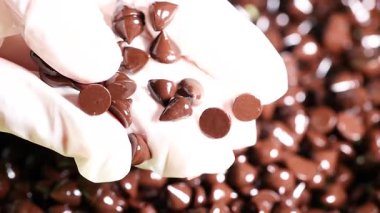 Gloved hands sorting chocolate chips carefully