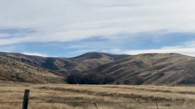 Yeni Zelanda 'nın kırsalında sakin bir sürüş, kayan tepeler, seyrek ağaçlar ve bulutlu bir gökyüzünün altındaki açık alanlar