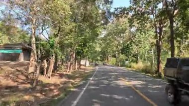 Huzurlu orman yolunda bir aracın yolculuğu