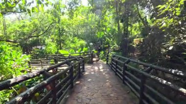 Huzurlu bir hayvanat bahçesi yolu boyunca yemyeşil