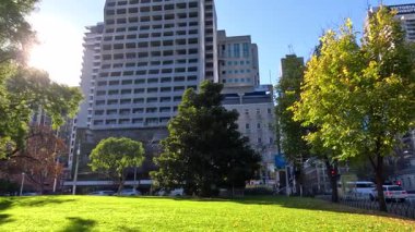 Canlı bir park ortamında ağaçlar ve gökdelenler