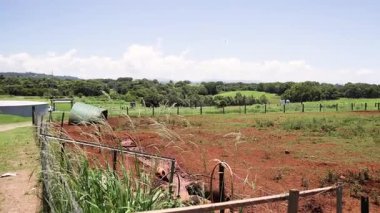 Kırsal alandaki manzara değişikliğinin zaman aşımı