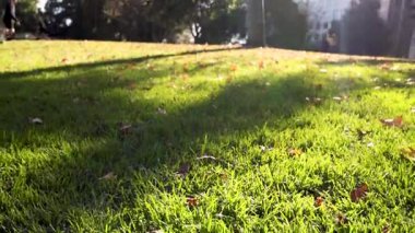 Güneşli bir parkta koşan çocuk