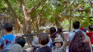 Ziyaretçiler doğal ortamlarda su aygırlarını izlemekten zevk alırlar.