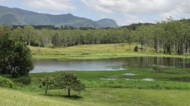 Huzurlu bir sulak arazi ve dağ manzarasının hızlandırılması