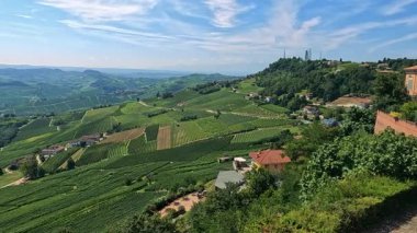 İtalya, Cuneo 'daki üzüm bağlarının panoramik manzarası