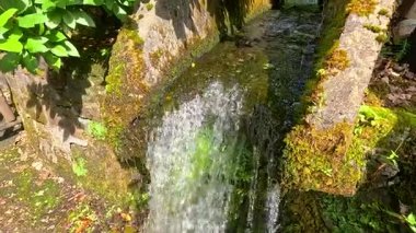 yosunlu kayaların üzerinden akan su