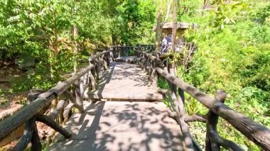 Hayvanat bahçesindeki yemyeşil alanda ahşap yol