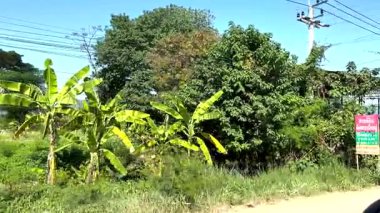 Çekici yol kenarındaki yemyeşil yolda ilerliyor