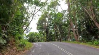 Port Douglas 'taki yoğun, canlı yağmur ormanlarında dolambaçlı bir yol boyunca sakin bir sürüş, doğal güzellik ve sükuneti gözler önüne seriyor.