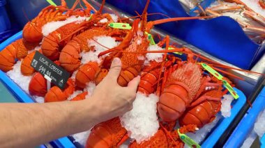 Buz ekranından istakozları elle seçiyorum.