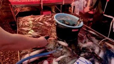 Deniz ürünleri pazarından balık topluyorum..