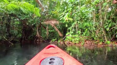 Canlı bir kanoyla yemyeşil su yollarını keşfediyorum.