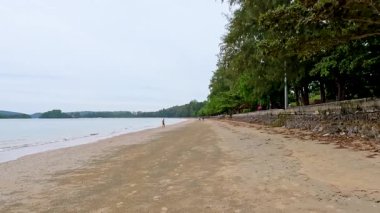 Tayland, Krabi 'de sakin plajda tek başına yürüyen kişi.