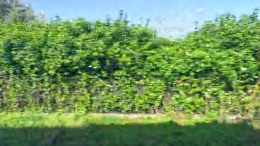 Varenna Gölü, Como Gölü manzaralı.