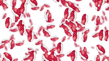 Ton balıklı suşi parçaları bir kalıba dökülüyor.