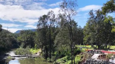 Hava görüntüleri, parlak gün ışığında sakin bir orman ve akarsu manzarası yakalar, yemyeşil ve dingin su akışını gösterir.