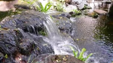 Kayaların üzerinden sakin bir gölete çağlayan şelale.