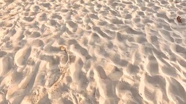 Plaj yüzeyindeki desenli kum desenlerinin yakın görüntüsü